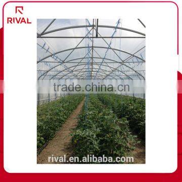 Five star Factory price reen house film for agriculture