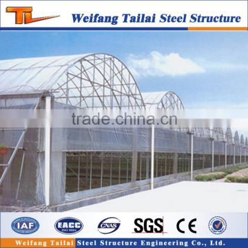 Low Cost Steel Structure Multi Span Greenhouse