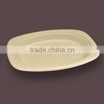 Hot sale eco disposable paper plate
