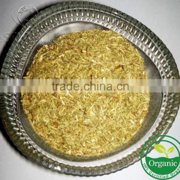 Organic Cymbopogon citratus Tea Cut