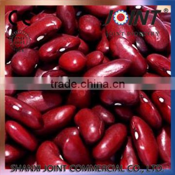 big and small size high quality Red Kidney Beans