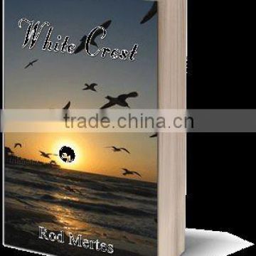 2012 Softcover Novel Book Printing