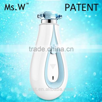 Ms.W China Factory Wholesale Personal Care Handheld Nano Mist Facial Steamer Fregrant Ionic Face Beauty sprayer
