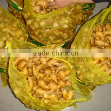 chinese high quality greenfarm dried ginger for sale