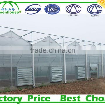 China Agricultural Greenhouse