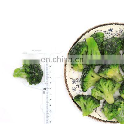 Frozen Broccoli New Winter Crop1-3cm 2-4cm 3-5cm 4-6cm IQF Frozen Broccoli