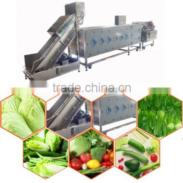 automatic vegetable washing equipment