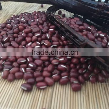 2016 China Adzuki Beans for Europ