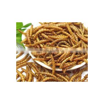 Vitamin Pet Food Dried Mealworms