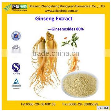 GMP Manufacturer supply high quality Ginseng Extract Ginsenoside 80% 20%