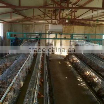 China hot selling battery cage for chicken with automatic manure scraper and feeding cart
