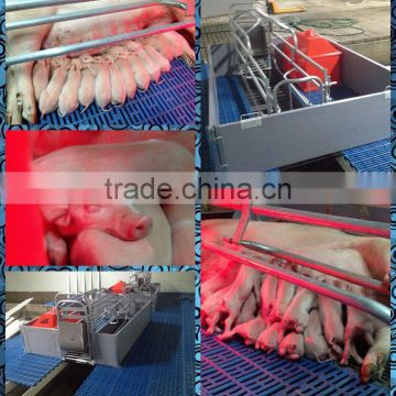 Sow farrowing crate / farrowing crate design / farrowing crate