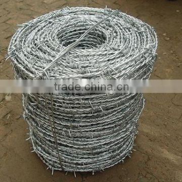 galvanized barbed wire