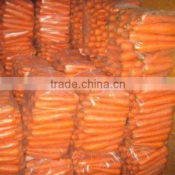 2013 dehydrated carrot flakes 1-3mm from china