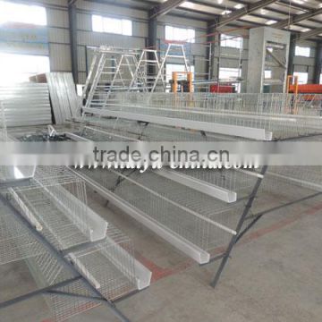 TAIYU Foreign Agent and Warehouse Broiler Poultry Equipment