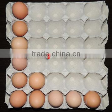 2014 Year TAIYU Paper Egg Tray Factory (Automatic Production Line)