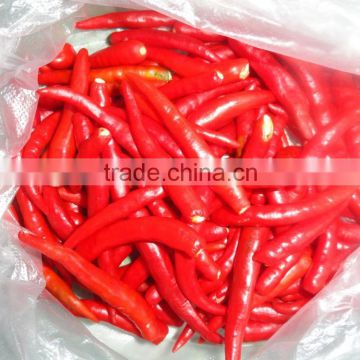 Fresh Hot Red Chili with Best Price