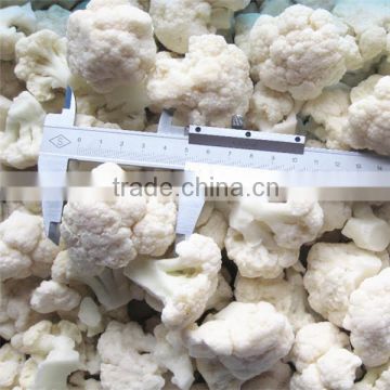 new crops frozen cauliflower iqf white Chinese cauliflower in bulk