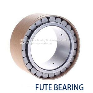 F-204754.RNU bearing Hydraulic Pump Bearings