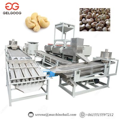 Raw Cashew Nut Processing Machine Cashew Nut Processing Unit Automatic Cashew Nut Shelling Machine