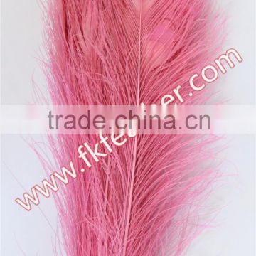 Wholesale Natural Peacock Feather Tail Eye Feathers For DIY Projects