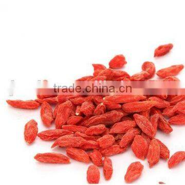 China manufactory/Goji berries/red medlar