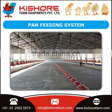 Hot Selling Automatic Pan Feeding System at Market Rate