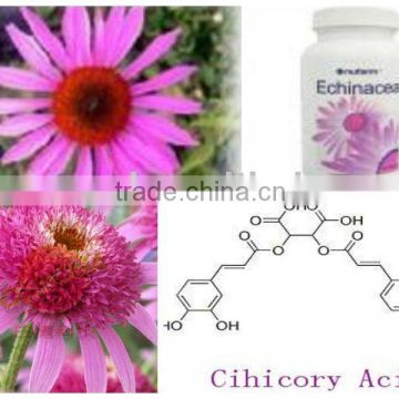 ISO/Kosher Echinacea Extract Immune Booster Medicines