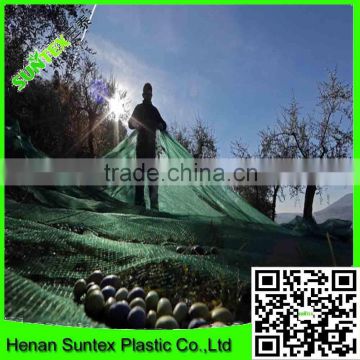 Large sheet plastic harvest netting,olive falling collection net,custom nut collecting net with cheap price