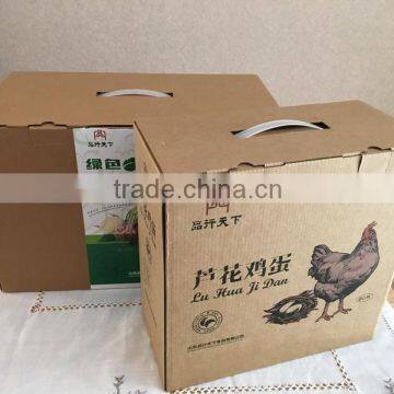 Corrugated kraft shipping strong box