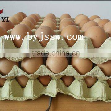 Paper Pulp Egg Carton / Egg Carton Plant (Cheap Price And Good Quality)