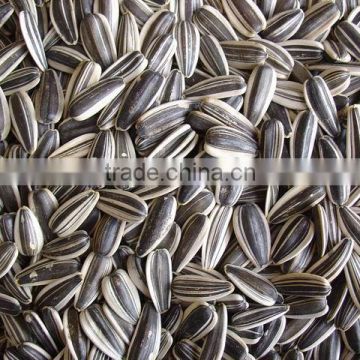 5009 sunflower seeds
