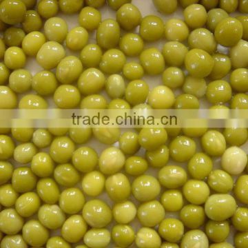 Good Quality canned green peas canned vegetabel canned food