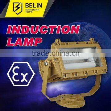 anti-glare induction lamp, induction flood light, led sensor flood light