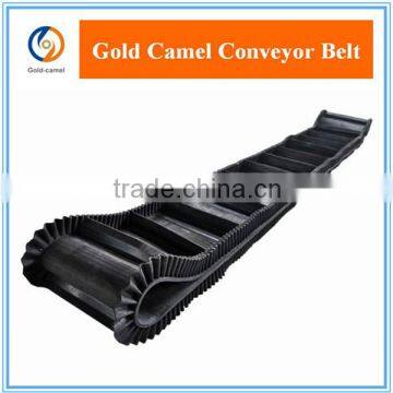 China plastic conveyor belt with raised edge