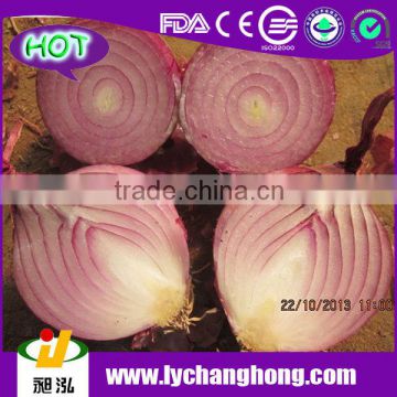 Fresh Red Onion For Malaysia Market
