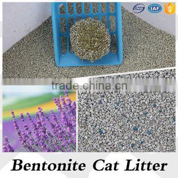 Manufacturer offer irregular shape original cat sand on sale