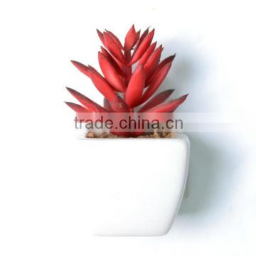 Artificial Desert Yucca Succulent Plant Floor Plant in ceramic pot