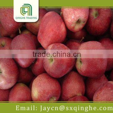 fruit fresh, Huaniu apple fruit wholesale distributors
