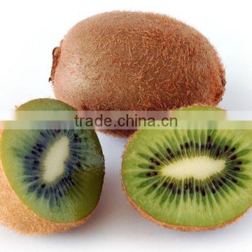 KIWI FLAVOR FOR DAIRY PRODUCTS