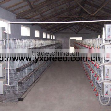 Automatic poultry chicken cage for broilers