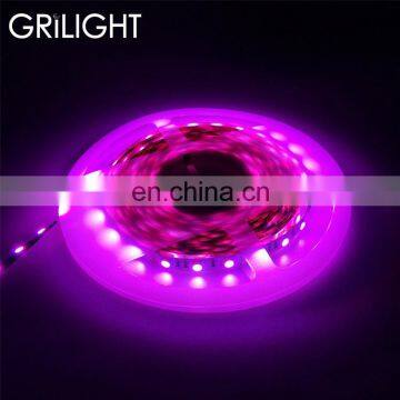 Ali Supplier 14.4w 12v dc dream color led stripe rgb lights