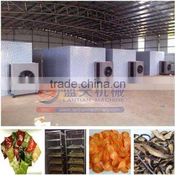 ECO friendly heat pump dryer automatic electric apple piece drying machine