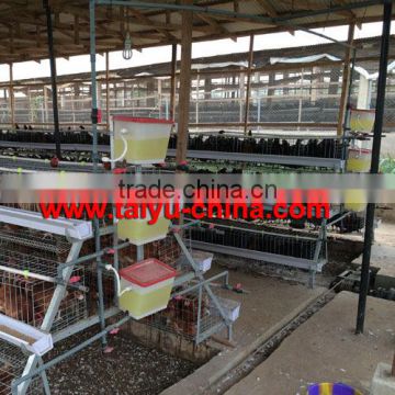 TAIYU Automatic Chicken Layer Cage for Sale with Manure Removal System