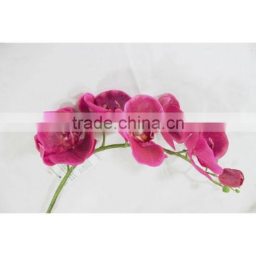 Sleek realistic decorative butterfly orchids flower latex orchid flower