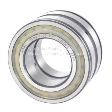 WSBC Sealed double row full complement cylindrical roller bearings SL04 5014 PP