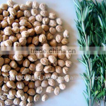 Bulk Fresh Chickpeas