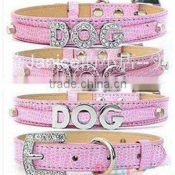 pet collar with letter alphabet slider