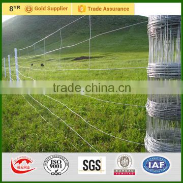 Alibaba 8 years supplier hot galvanized field fence