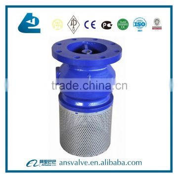 With Strainer Cast Iron Foot Valve